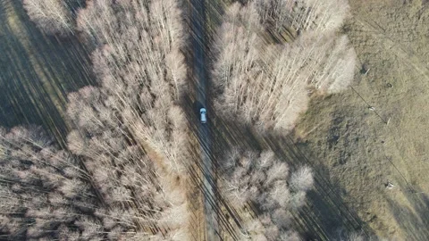 Car tracking Video stock 159079544