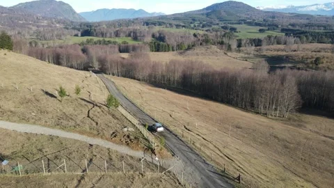 Car tracking in  forest  Stock Footage 159079781