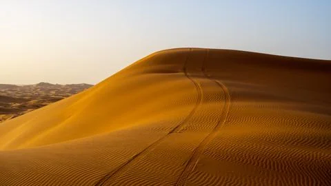 Car tracks mark the sand dune at sunset in the desert Stock Photos