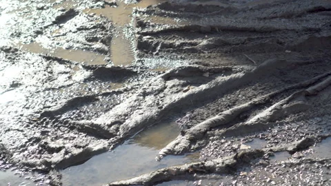 Car tracks on wet ground. Close-up of dirt. Stock Footage 152053285