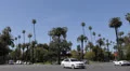 Car Traffic in Beverly Hills, Palm Trees near Santa Monica BLVD, Los Angeles USA HD Footage