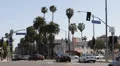 Car Traffic in Beverly Hills, Palm Trees, Santa Monica BLVD, Los Angeles, USA HD Footage