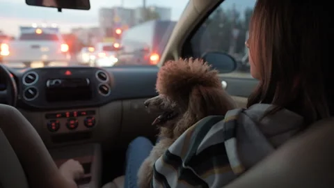 Car traffic jam on the city. Stock Footage 90653313