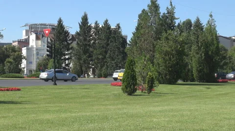 Car traffic motion, green square park grass flowers and fir tree in central city Vídeos de archivo 41541231