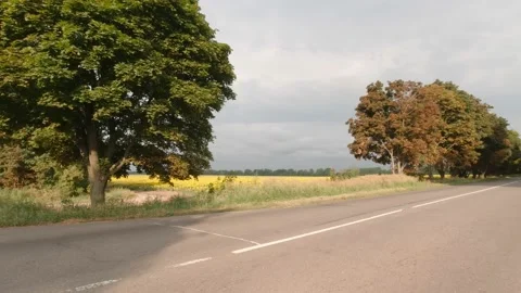 Car Turns To The Road Stock Footage 160488677