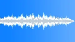 CAR TYRES SQUEALING02 Sound Effect