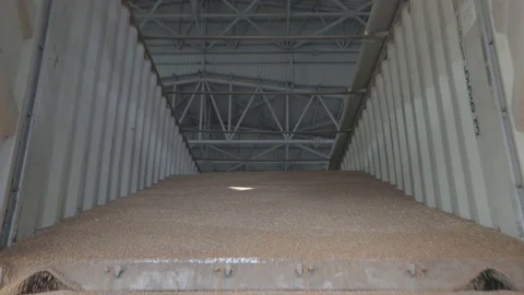 The car unloads grain from the body at the elevator, the grain is beautifully po Stock-Footage 116270418