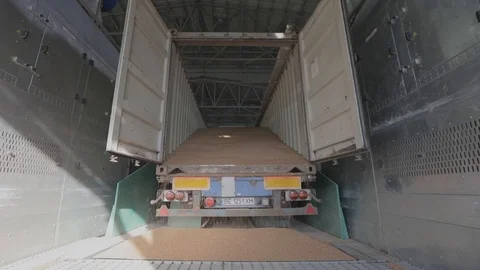 The car unloads grain from the body at the elevator, the grain is beautifully po Vidéo 116270422