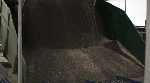 The Car Unloads Grain Rape Stockbeeldmateriaal 56611600