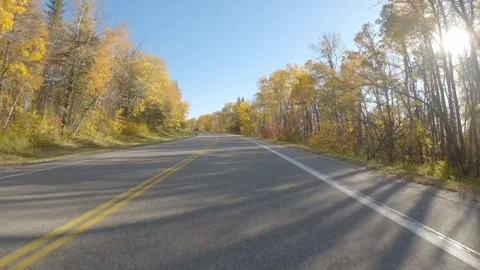 Car view driving along a paved road surrounded by yellow autumn colored forest Stock Footage 320318731