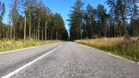 Car View Driving Forward Beautiful 4K Road Summer Travel Adventure GoPro Stock Footage 113069102