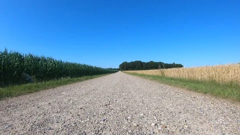 Car View Driving Forward Clear Sky 4K Road Summer Travel Adventure GoPro Stock Footage 113069522