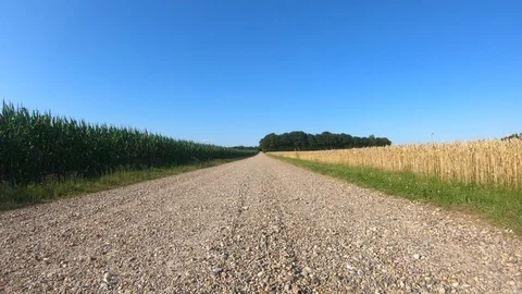 Car View Driving Forward Corn Fields 4K Road Travel Summer Adventure GoPro Stock Footage 113069610