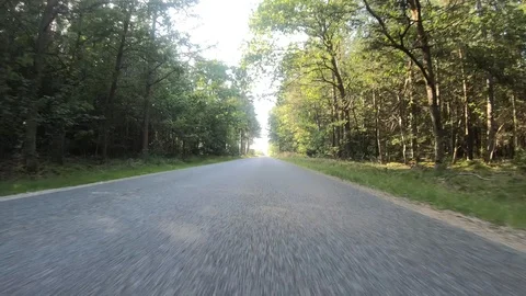 Car View Driving Forward Forrest 4K Road Summer Travel Adventure GoPro Stock Footage 113070086