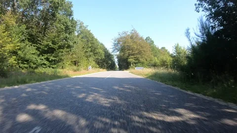 Car View Driving Forward Outdoor 4K Road Summer Travel Adventure GoPro Stock Footage 113070768