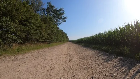 Car View Driving Forward Rocks and Trees 4K Road Travel Summer Adventure GoPr Stock Footage 113070875