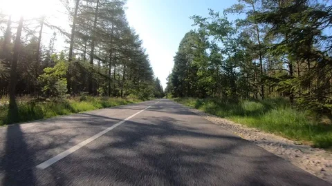 Car View Driving Forward Shadows 4K Road Travel Summer Adventure GoPro Stock Footage 113071209