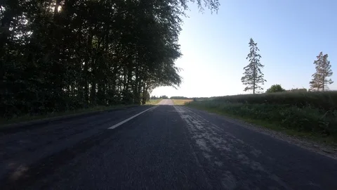Car View Driving Forward Trees 4K Road Travel Summer Adventure GoPro Stock Footage 113071508