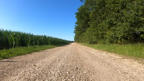 Car View Driving Forward Trees and Rocks 4K Road Travel Summer Adventure GoPr Stock Footage 113071547