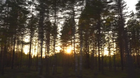 Car view of the sunset through the trees and the lake in 4k Stockbeeldmateriaal 119408838