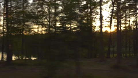 Car view of the sunset through the trees and the lake in 4k Stock Footage 119408892