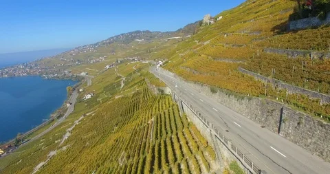 Car in vineyard Stock Footage 102566321