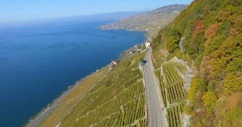 Car in vineyard Stock Footage 102566710