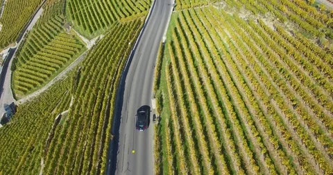 Car in vineyard Stock Footage 102566955
