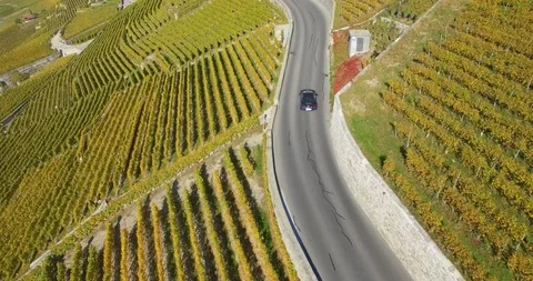 Car in vineyard Stock Footage 102567075