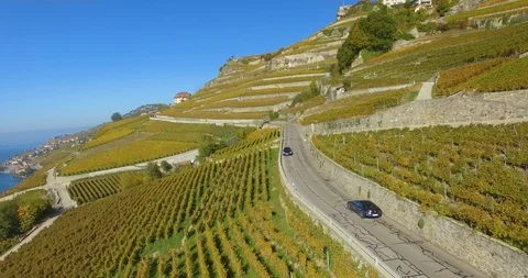 Car in vineyard Vídeo Stock 102567436