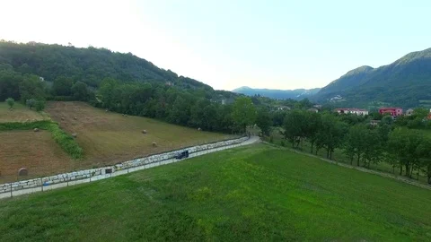 A car walking in the midst of cultivated fields. Aerial Video stock 71819183