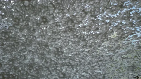 Car wash. application of foam on the windshield of the car. view from the salon Stock Footage 197574687