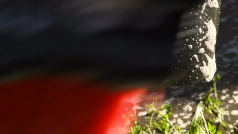 Car wash brush Видео 154427409