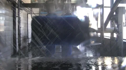 Car Wash Stock Footage 8665427