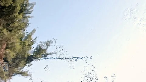 Car Wash Stock Footage 119200800