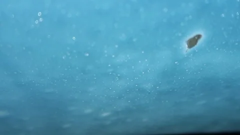 Car wash from inside the car. Видео 105175495
