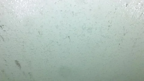 Car Wash Soap Spraying on Windshield Stock Footage 139881898