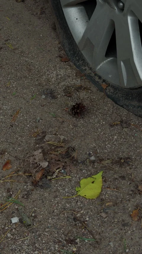 Car wheel parked on gritty roadside ground with fallen leaves, pine cone, and Stock Footage 345765744