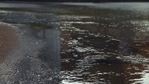 Car wheels going on a wet road Stock Footage 100242004