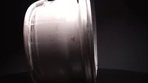 Car wheels titanium rims after a traffic accident Vídeo Stock 242406665