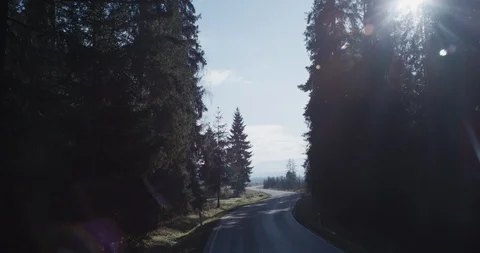 Car on the winding forest road Stock Footage 90000899