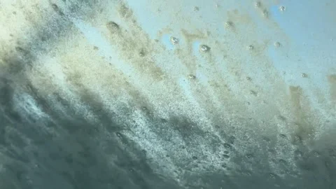 Car Window Being Washed with Foam and Water, Interior View Stock Footage 331675476