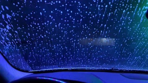 A car window is covered in green spots Stock Footage 273444856