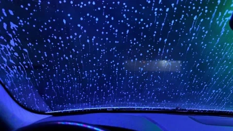 A car window is covered in green spots 스톡 동영상 276064968