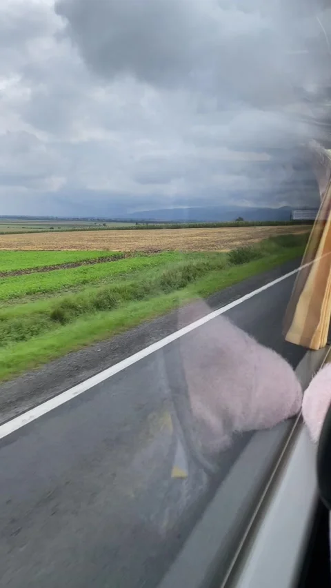 Car window Stock Footage 224718758