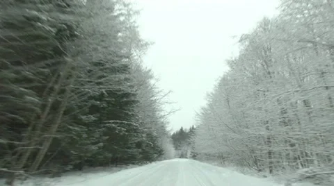 Car window forest winter Stock Footage 10844377