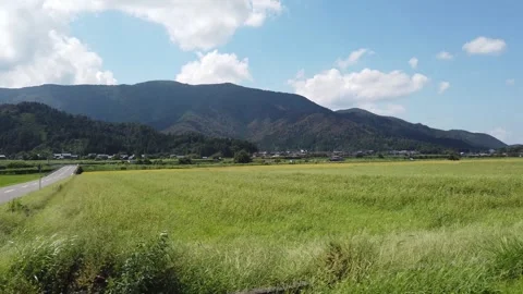 Car Window POV Driving Over Japanese Rural Rice Fields with Summer Mountains Vídeo Stock 317444891