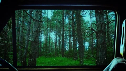 Car window raining Stock Footage 241203552