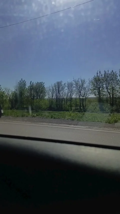 From the car window you can see the trees along the road, the green grass and Stock Footage 336183474