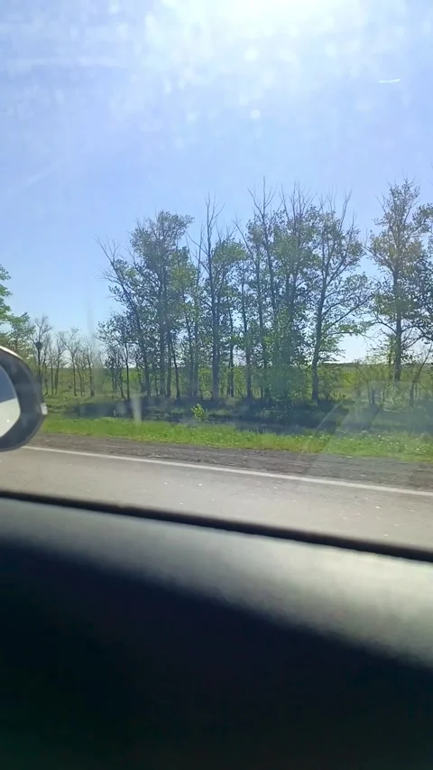From the car window you can see the trees along the road, the green grass and Stock Footage 336183481